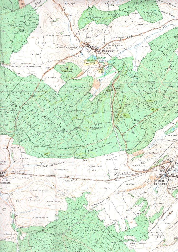 Section of the IGN map today showing the post-war forestation.