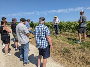 Visiting the Champagne fields of France shows an important part of French culture.